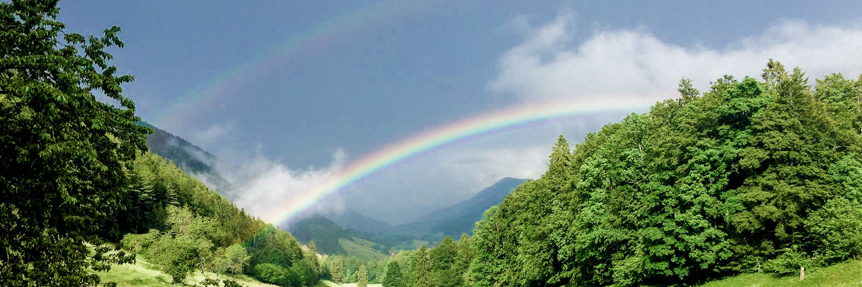 Aussicht Berghof Montpelon